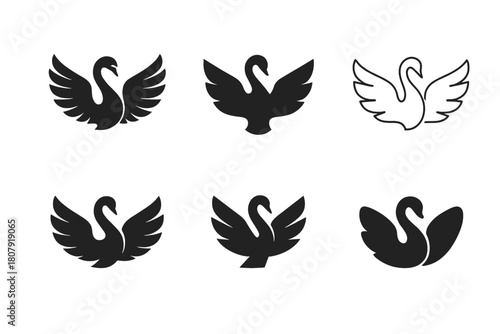 Swan Logo Variations. Swans. Icon set. Set Logo of swans: swan wings outstretched in symmetrical balance. harmonious logo variations of the same emblematic