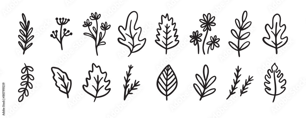 Obraz premium autumn or summer leaves doodle sketch icon set. forest leaf design elements set in vintage retro line style