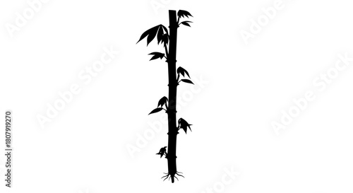 Black silhouette of a single bamboo stalk with multiple leaves and visible roots against a clean white background.