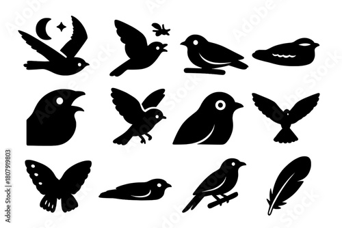 Nightjar Icon Set. Nightjar behavior. Solid icon set of Nightjar behavior: flying at dusk, insect hunting, resting on branch, camouflaged bird, open beak,