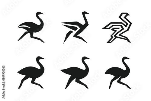 Ostrich Logos Collection. Ostriches. Icon set. Set Logo of ostriches: abstract emblem of ostrich speed, agility, and motion. harmonious logo variations of the
