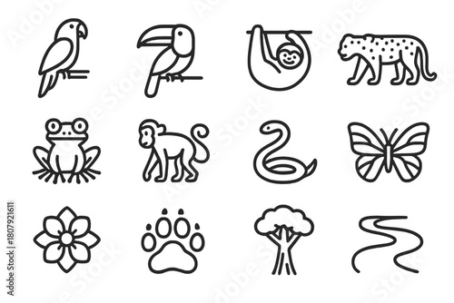 Tropical Animal Icons. Tropical animals. Line icon set of Tropical animals: sloth, jaguar, toucan, macaw, tree frog, monkey, snake, butterfly, exotic flower,