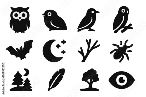 Nocturnal Birds Icons. Nocturnal birds. Solid icon set of Nocturnal birds: owl, nightjar, nighthawk, frogmouth, bat silhouette, moon, starry sky, tree branch,