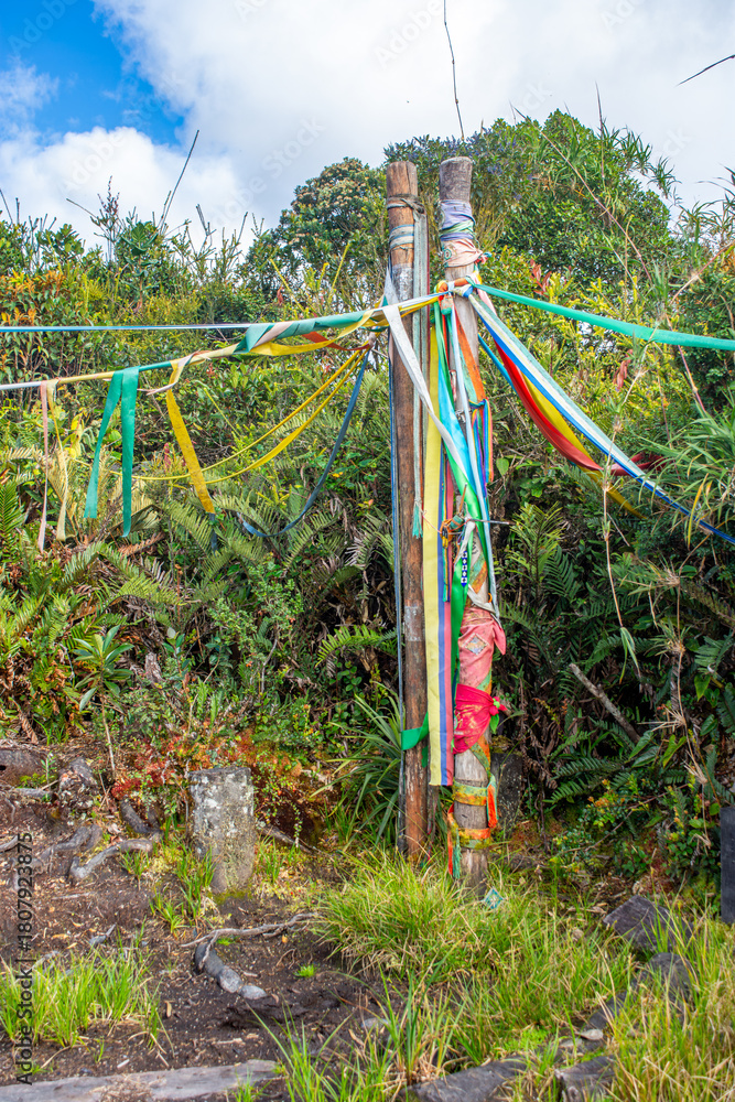 Fototapeta premium Colorful ribbons adorn a post in a lush natural setting, symbolizing cultural rituals.