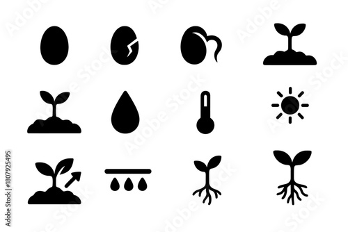 Seed Germination Icons. Seed Germination. Solid icon set of Seed Germination: dry seed, cracked shell, emerging root, sprout, soil bed, water