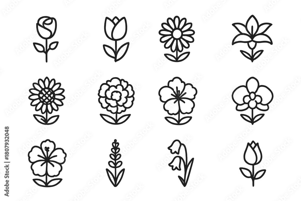Fototapeta premium Flower Icon Set. Flower bouquet. Line icon set of flower bouquet: rose, tulip, daisy, lily, sunflower, peony, bud, ribbon, stem, leaf, bouquet wrap, orchid.