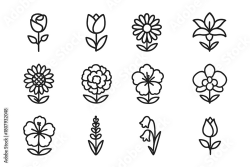 Flower Icon Set. Flower bouquet. Line icon set of flower bouquet: rose, tulip, daisy, lily, sunflower, peony, bud, ribbon, stem, leaf, bouquet wrap, orchid.