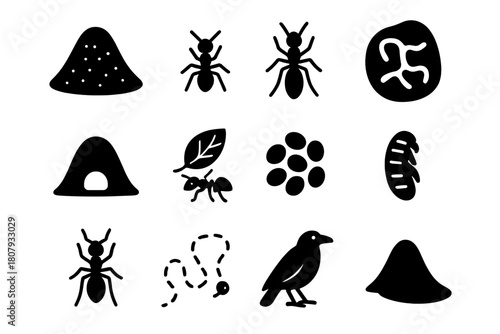 Ant Mound Icons. Ant Mound. Solid icon set of Ant Mound: anthill, worker ant, queen icon, tunnel cross-section, entrance hole, leaf carry, egg cluster, pupa,