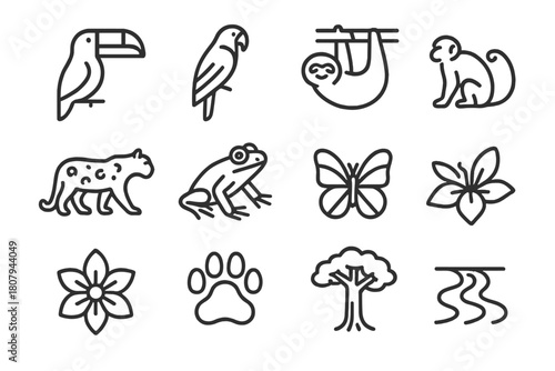 Tropical Wildlife Icons. Tropical wildlife. Line icon set of Tropical wildlife: toucan, macaw, sloth, jaguar, tree frog, monkey, snake, butterfly, exotic