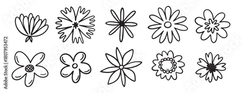 flowers decoration doodle hand drawn icon set. Outline drawing chamomile flower buds line clipart symbol collection. 