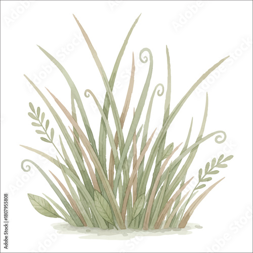 Watercolor prehistoric grass vector isolated on white background jurassic grass
