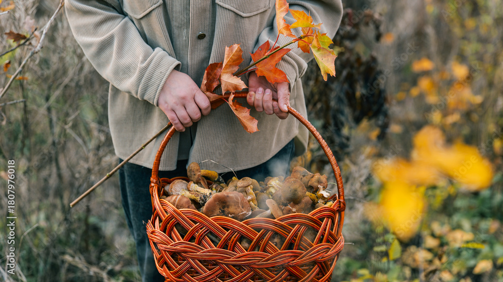 Naklejka premium Person carrying a basket filled with freshly picked mushrooms in the autumn forest