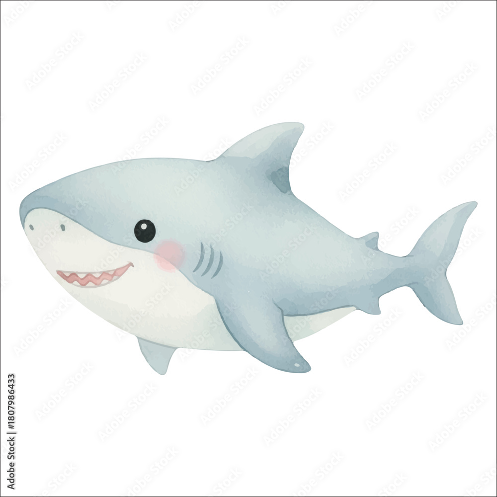 Fototapeta premium Cute Shark Watercolor Vector Isolated on White Background 