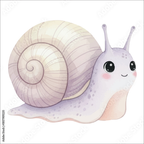 Sea Snail Watercolor Vector Isolated on White Background
