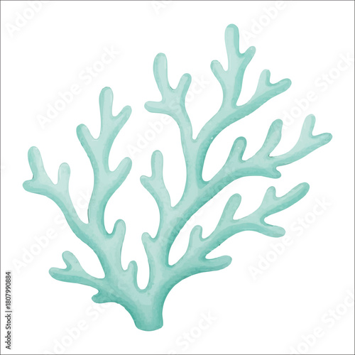 Staghorn Coral Watercolor Vector Isolated on White Background
