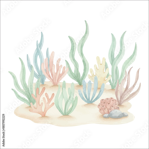 Sea Floor Plants Watercolor Vector Isolated on White Background
