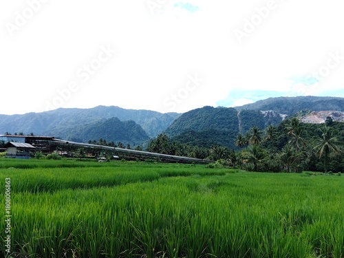 Green rice paddies thrive at the base of a tropical mountain range, while a mining conveyor system cuts across the rural landscape.