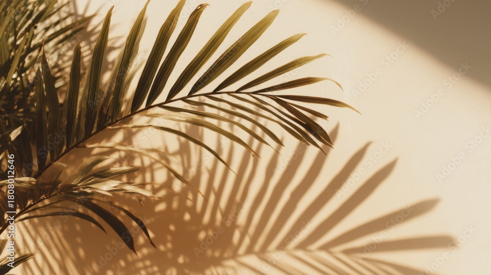 Obraz premium Palm leaves are seen stretching gracefully, with their shadows creating gentle patterns against a light-toned wall. The setting is bright, giving off a calm and relaxing atmosphere.