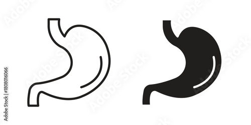 Stomach icon with thin line and flat web symbol on white background