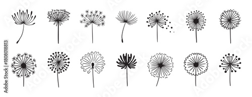 Dandelion flower silhouette doodle hand drawn icon set. Outline drawing Dandelion flower silhouette line clipart symbol collection