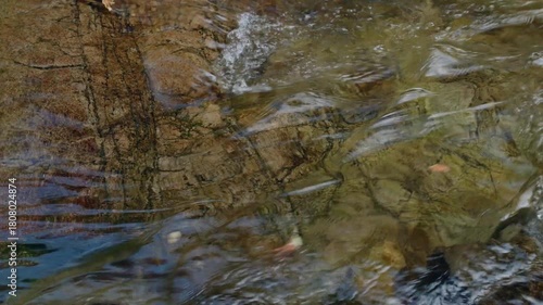 川の流れ／保殿の七滝・一の滝／秋の風景
（日本・愛知県豊田市野原町）
