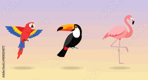 Tropical bird species illustration featuring parrot, toucan and flamingo vector image