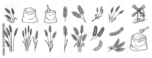 wheat and cereal plants, rye barley and ears of wheat in bag doodle hand drawn icon set. Outline drawing ears of wheat line clipart symbol collection