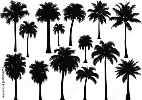 Collection of black palm tree silhouettes, tropical coconut trees set for summer beach vacation design, nature isolated on white background, vector illustration