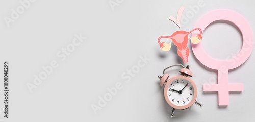 Paper uterus with paper che...