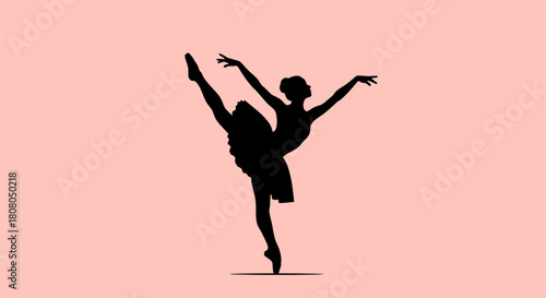 Adobe Illustrator Artwork