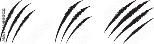 Claw marks vector illustration animal scratch black design damage graphic art