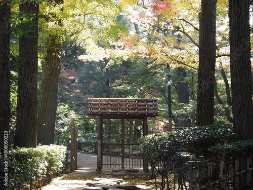 大田黒公園の風景