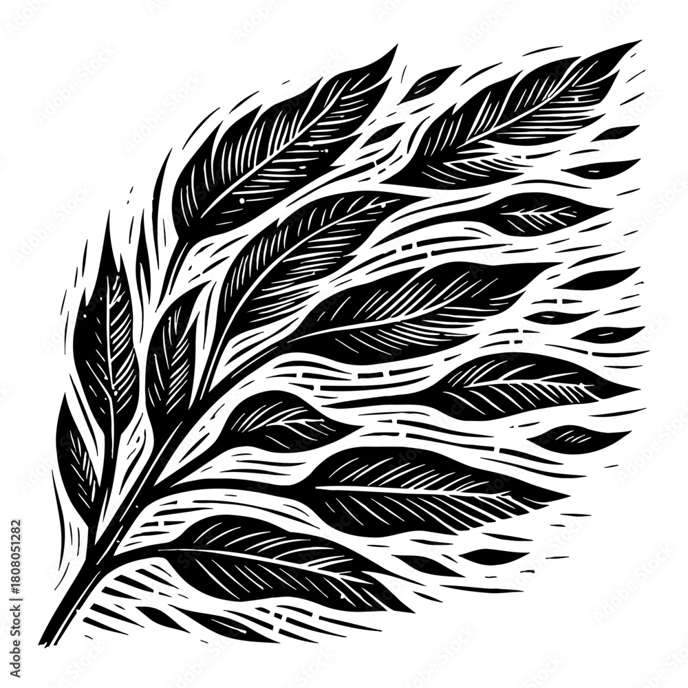 Obraz premium Stylized Plant Leaf Branch Illustration Black and White Outline Line Art Drawing Vector Graphic