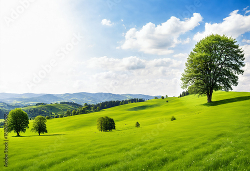 solitary tree on lush green...