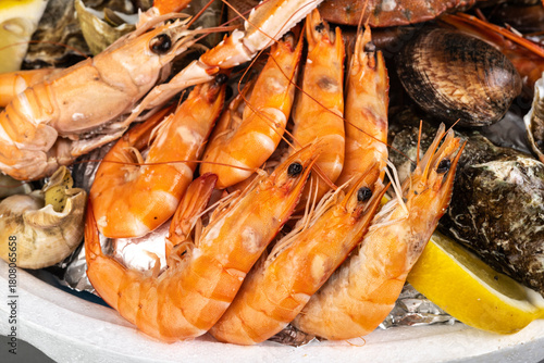 Plateau de Fruits de Mer Frais avec Crevettes et Huîtres. Gros plan sur un assortiment appétissant de crevettes cuites, huîtres, moules, citron et coquillages