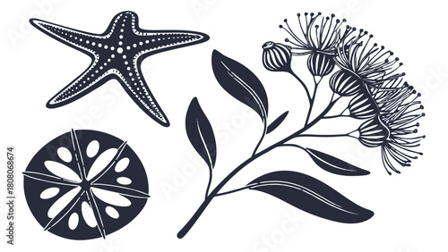 Australian Marine and Botanical Silhouette Set: Starfish, Sand Dollar, Eucalyptus Vector,  Black line art silhouettes including a starfish, a sand dollar, and a flowering eucalyptus branch