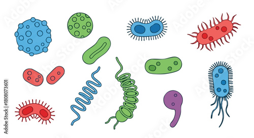 bacteria vector icon isolated on white background
