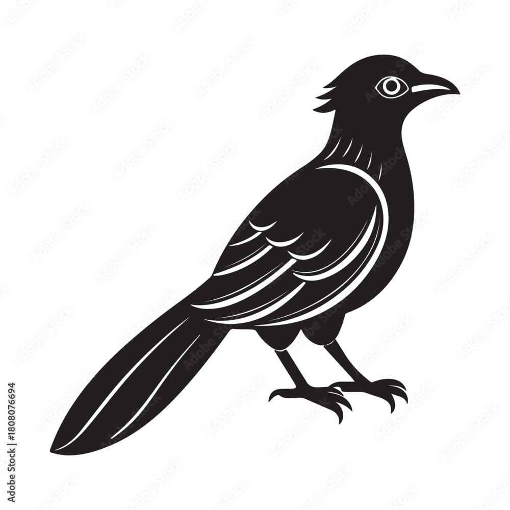 Fototapeta premium Asian koel silhouette vector icon