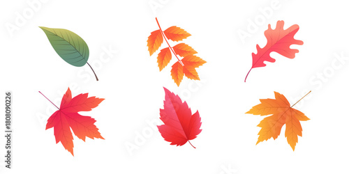 Realistic colorful autumn leaves illustration on white background, vibrant fall foliage composition perfect for seasonal design, posters, decorations, and artistic backgrounds.