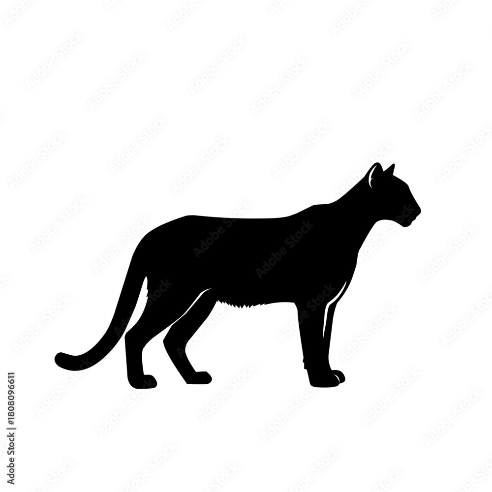 Obraz premium Wild cat silhouette standing in side view. Clean black animal shape perfect for wildlife icons, outdoor designs, nature themes, logos, stickers, and minimalist vector artwork