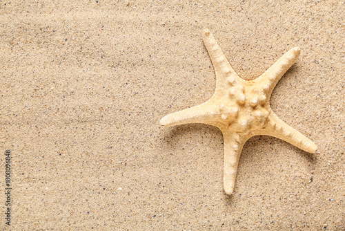 Beautiful starfish on beach...