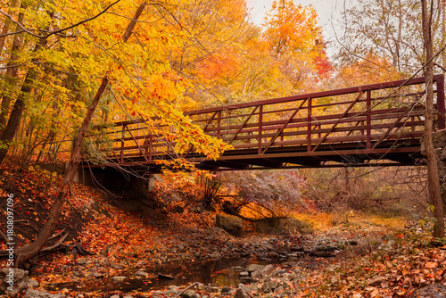 bridge in autumn, atmospheric pleasure dull sky, fall season