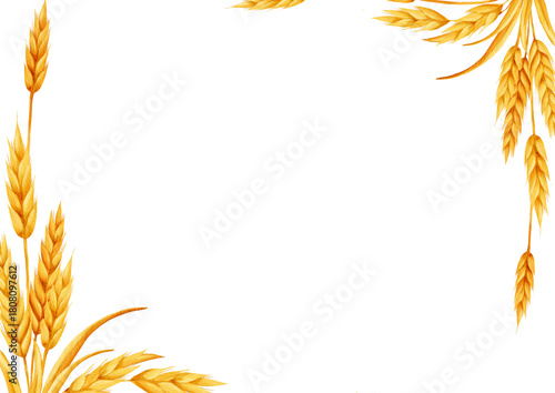 Watercolor frame with golden wheat ears arranged in the corners on a white background, creating a natural botanical border suitable for labels, packaging, invitations and seasonal designs