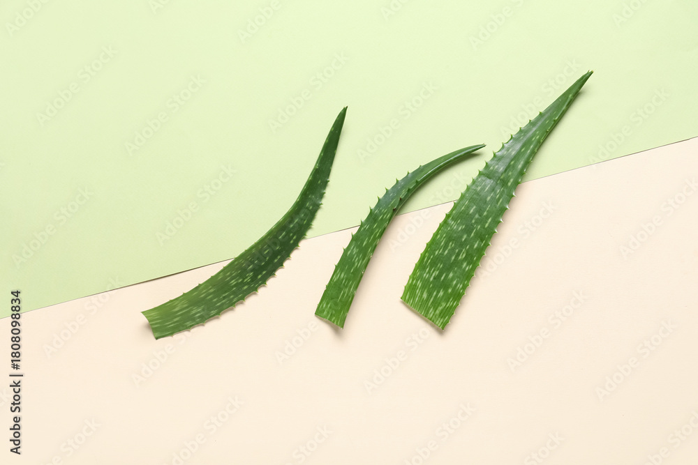 Naklejka premium Fresh aloe vera leaves on color background