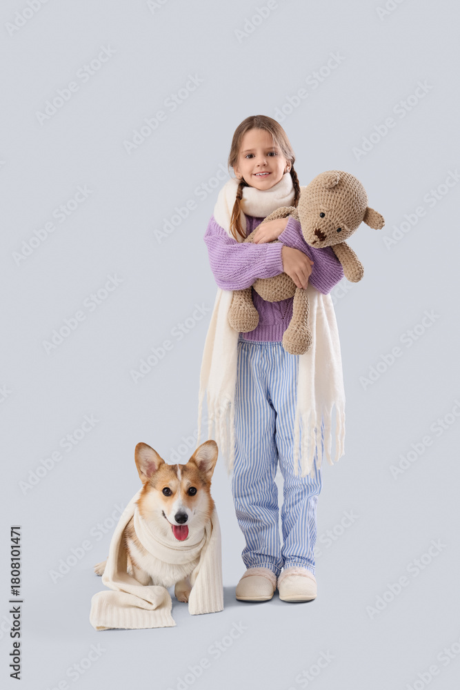 Fototapeta premium Cute smiling girl with Corgi dog and teddy bear in scarves on grey background