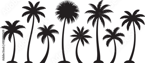 Black palm tree silhouettes