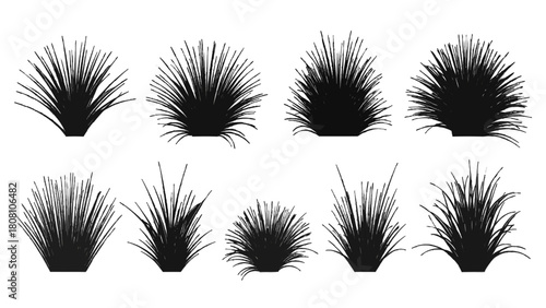 Vector illustration of set of various grass and bush silhouettes, representing natural foliage elements, isolated on transparent background 