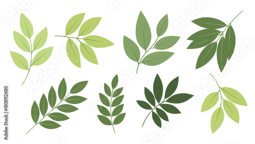 Vector illustration of set of green leaves and branches in various shapes, representing nature and ecology on transparent background