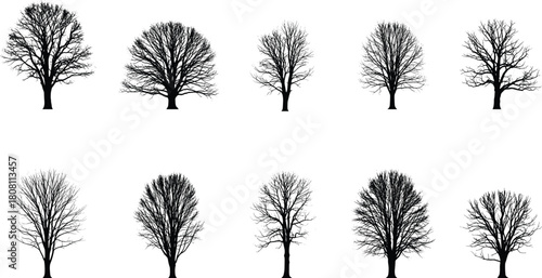 Leafless tree silhouettes, winter tree forms, bare branches, forest graphics, botanical icons, nature shapes, cad drawing flat vector illustration