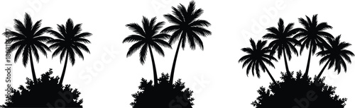 Palm tree silhouettes, tropical landscape graphics, beach foliage icons, summer nature elements, exotic scenery, cad drawing flat vector illustration